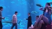 -oi-ming-wong-mp4_snapshot_00-50_-2026-07-10_11-47.jpg