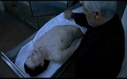 t2pscp1icdk5.jpg t2pscp1icdk5.jpg
