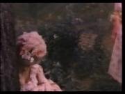 ily-1974-2-mp4_snapshot_06-41_-2026-07-14_15-56-04.jpg ily-1974-2-mp4_snapshot_06-41_-2026-07-14_15-56-04.jpg