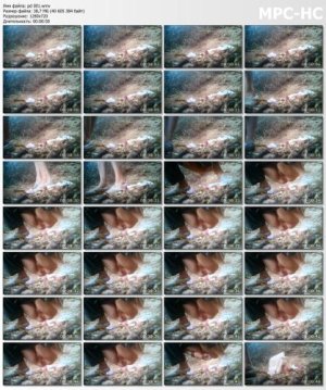 749072630_screen.jpg 749072630_screen.jpg