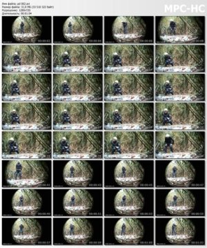 749281487_screen.jpg