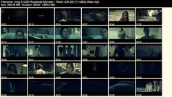 osalinde-Mynster---Robin-%28DK-2017%29-1080p-Web_s.jpg