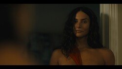 Lioness_1.1.9_s.jpg