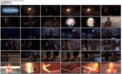 Welch---Cocoon-%281985%29-1080p-BluRay-REMUX.mp4_s.jpg