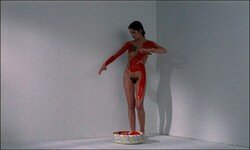 Glissements-progressifs-du-plaisir_1.1.18_s.jpg