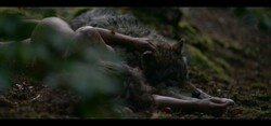 The-Wolf-the-Fox-and-the-Leopard_1.1.4_s.jpg