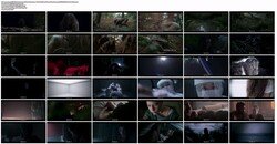 Fox-and-the-Leopard-%28UK-2025%29-10080p-Web.mp4_s.jpg