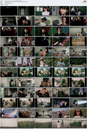 fa-musume-no-chi-wa-sawagu-1985-Bluray-1080p.mp4_l.jpg