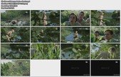4l6t57v9oug9.jpg 4l6t57v9oug9.jpg