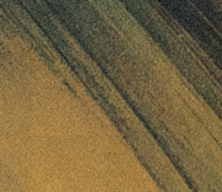 anaisibert.net
